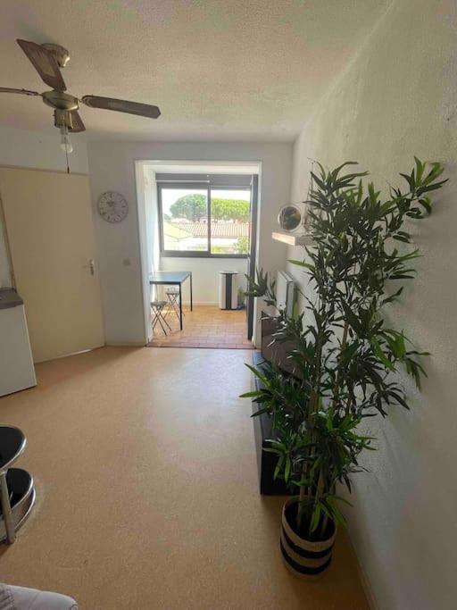 Appartement Port Leucate Exterior foto